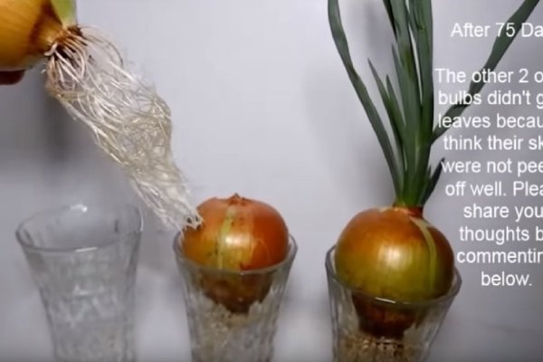 2krn сс