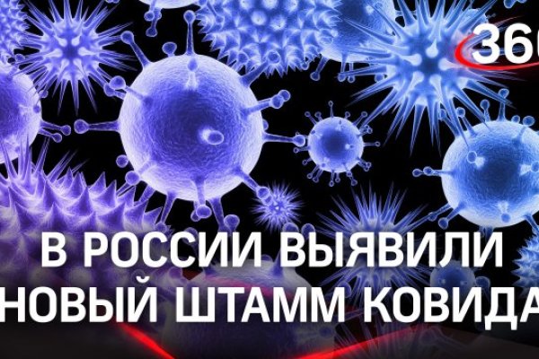 Как выводить деньги с кракена