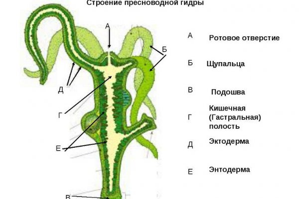 Удалился аккаунт кракен