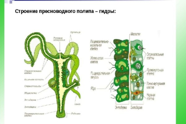 Кракен нарко