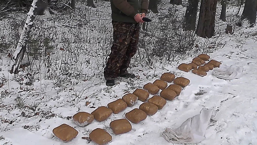 Ссылки тор браузер